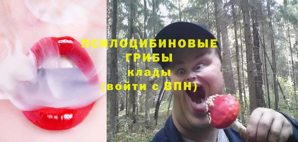 гидра Тихорецк