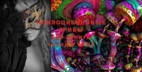 мдпв Абинск